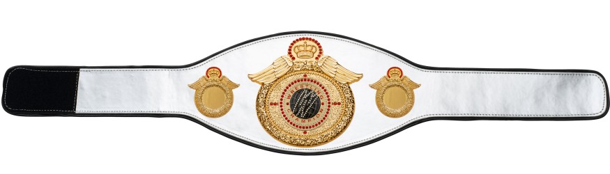 WRESTLING CHAMPIONSHIP BELT-PROWING/G/WRESTGEMG-6+ COLOURS